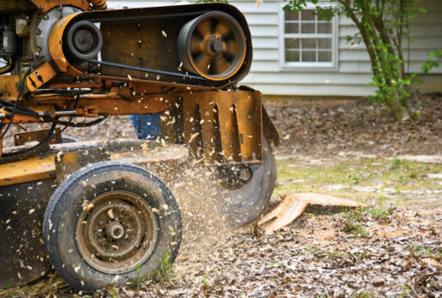 stump grinding morris nj